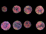 Imaging In Depth